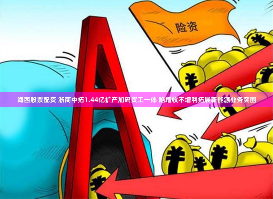 海西股票配资 浙商中拓1.44亿扩产加码贸工一体 陷增收不增利拓展新能源业务突围