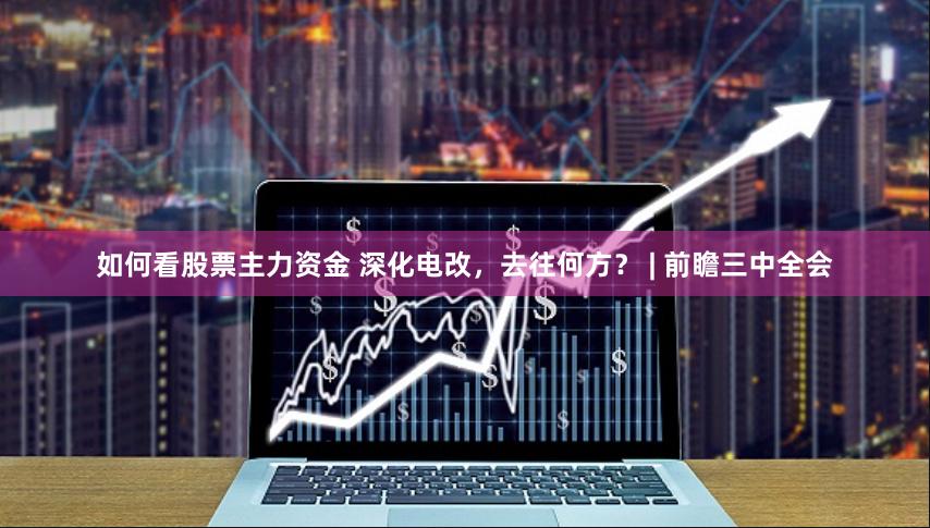 如何看股票主力资金 深化电改，去往何方？ | 前瞻三中全会
