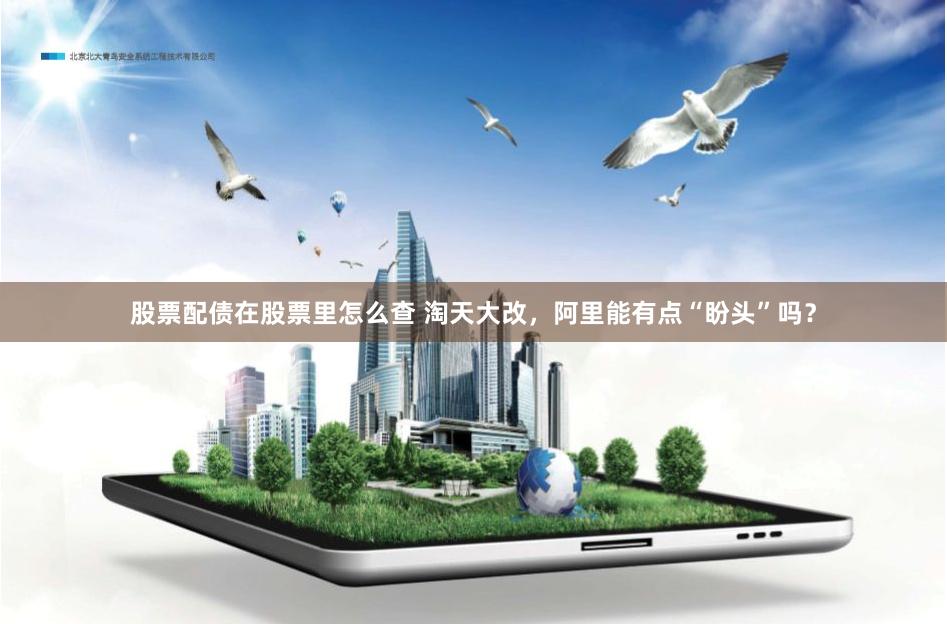 股票配债在股票里怎么查 淘天大改，阿里能有点“盼头”吗？