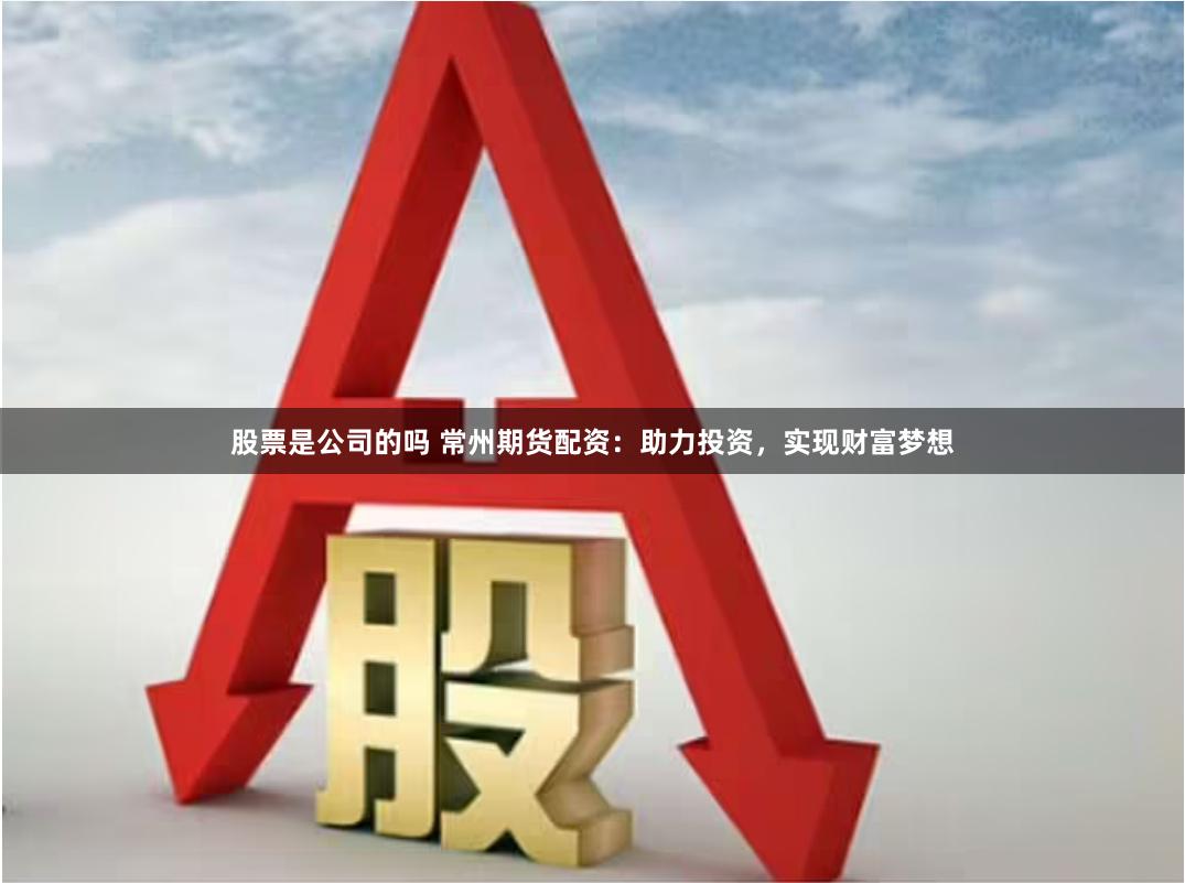 股票是公司的吗 常州期货配资：助力投资，实现财富梦想