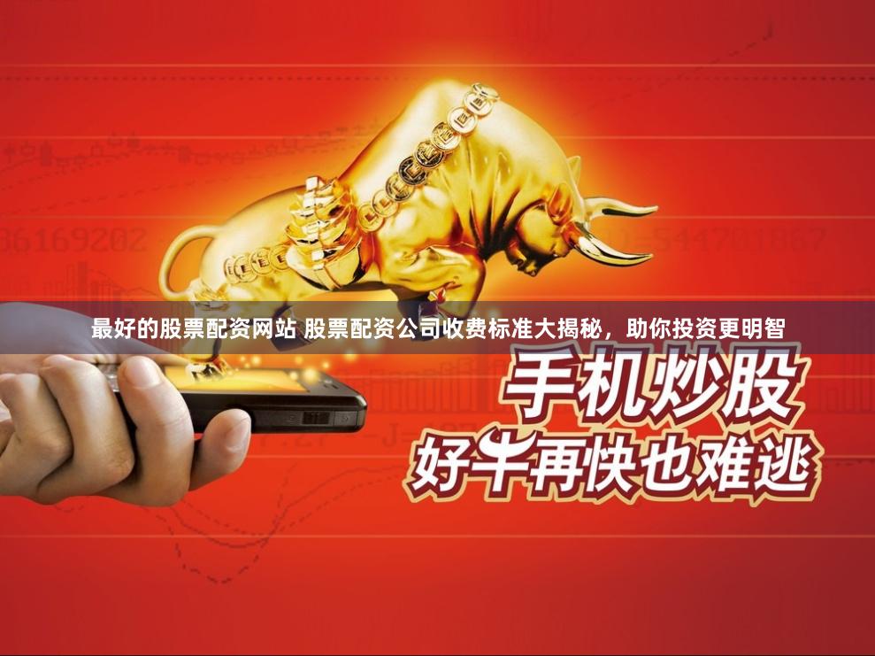 最好的股票配资网站 股票配资公司收费标准大揭秘，助你投资更明智