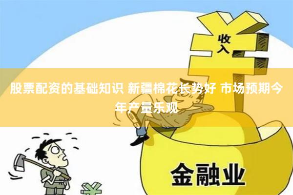 股票配资的基础知识 新疆棉花长势好 市场预期今年产量乐观